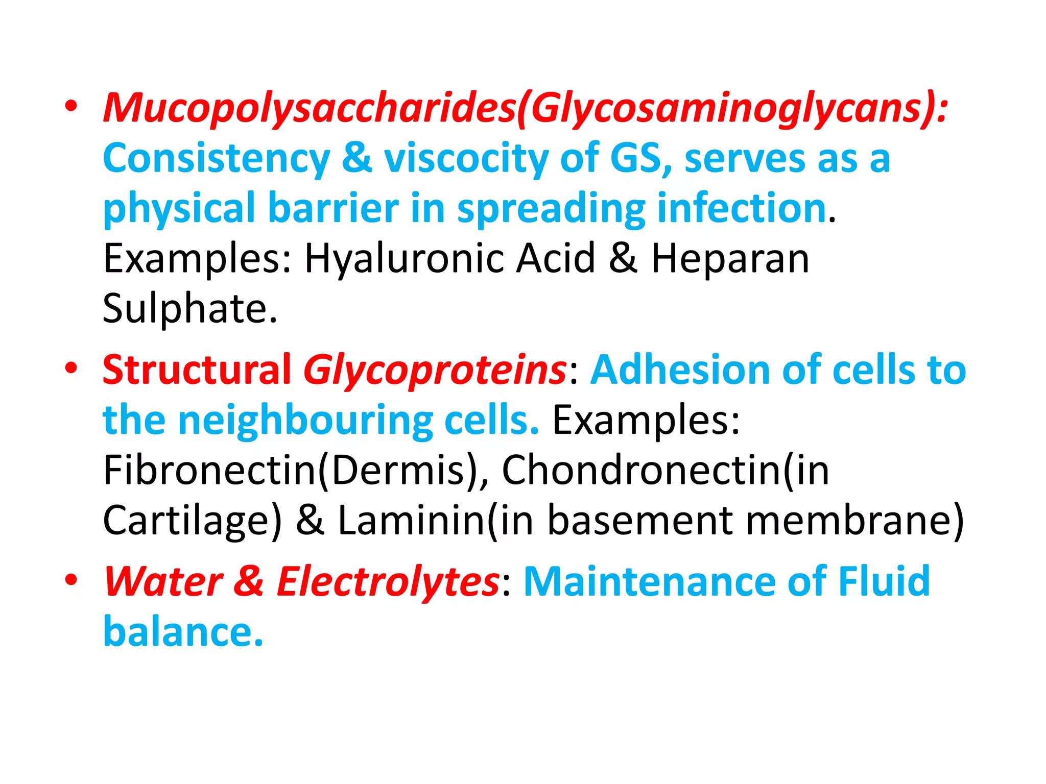 • Mucopolysaccharides(Glycosaminoglycans):
Consistency & viscocity of GS, serves as a
physical barrier in spreading infection.
Examples: Hyaluronic Acid & Heparan
Sulphate.
• Structural Glycoproteins: Adhesion of cells to
the neighbouring cells. Examples:
Fibronectin(Dermis), Chondronectin(in
Cartilage) & Laminin(in basement membrane)
• Water & Electrolytes: Maintenance of Fluid
balance.
 