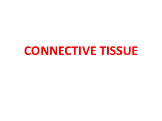 CONNECTIVE TISSUE
 