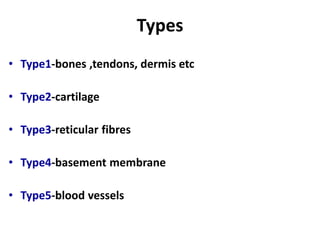Types
• Type1-bones ,tendons, dermis etc
• Type2-cartilage
• Type3-reticular fibres
• Type4-basement membrane
• Type5-blood vessels
 