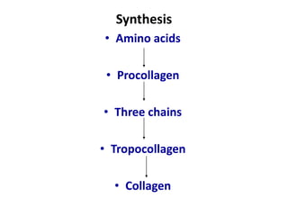 Synthesis
• Amino acids
• Procollagen
• Three chains
• Tropocollagen
• Collagen
 
