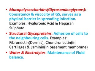• Mucopolysaccharides(Glycosaminoglycans):
Consistency & viscocity of GS, serves as a
physical barrier in spreading infection.
Examples: Hyaluronic Acid & Heparan
Sulphate.
• Structural Glycoproteins: Adhesion of cells to
the neighbouring cells. Examples:
Fibronectin(Dermis), Chondronectin(in
Cartilage) & Laminin(in basement membrane)
• Water & Electrolytes: Maintenance of Fluid
balance.
 