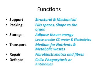 Functions
• Support Structural & Mechanical
• Packing Fills spaces, Shape to the
organ
• Storage Adipose tissue: energy
Loose areolar CT: water & Electrolytes
• Transport Medium for Nutrients &
Metabolic wastes
• Repair Fibroblasts:matrix and fibres
• Defense Cells: Phagocytosis or
Antibodies
 