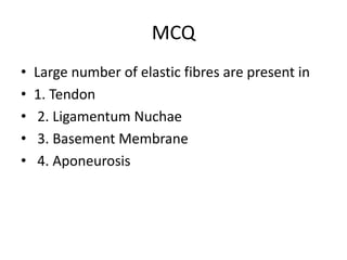 MCQ
• Large number of elastic fibres are present in
• 1. Tendon
• 2. Ligamentum Nuchae
• 3. Basement Membrane
• 4. Aponeurosis
 