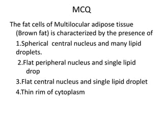 MCQ
The fat cells of Multilocular adipose tissue
(Brown fat) is characterized by the presence of
1.Spherical central nucleus and many lipid
droplets.
2.Flat peripheral nucleus and single lipid
drop
3.Flat central nucleus and single lipid droplet
4.Thin rim of cytoplasm
 