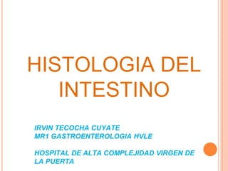 HISTOLOGIA DEL
INTESTINO
IRVIN TECOCHA CUYATE
MR1 GASTROENTEROLOGIA HVLE
HOSPITAL DE ALTA COMPLEJIDAD VIRGEN DE
LA PUERTA
 