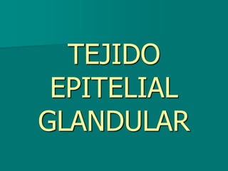 TEJIDO
EPITELIAL
GLANDULAR
 
