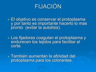 FIJACIÓN
➢ El objetivo es conservar el protoplasma
y por tanto es importante hacerlo lo mas
pronto (evitar la autolisis).
➢ Los fijadores coagulan el protoplasma y
endurecen los tejidos para facilitar el
corte.
➢ También aumentan la afinidad del
protoplasma para los colorantes.
 