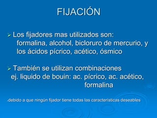 FIJACIÓN
➢ Los fijadores mas utilizados son:
formalina, alcohol, bicloruro de mercurio, y
los ácidos pícrico, acético, ósmico
➢ También se utilizan combinaciones
ej. liquido de bouin: ac. pícrico, ac. acético,
formalina
*debido a que ningún fijador tiene todas las características deseables
 