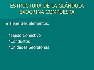ESTRUCTURA DE LA GLÁNDULA
EXOCRINA COMPUESTA
◼ Tiene tres elementos:
*Tejido Conectivo
*Conductos
*Unidades Secretorias
 