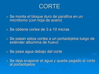 CORTE
➢ Se monta el bloque duro de parafina en un
micrótomo (con hoja de acero)
➢ Se obtiene cortes de 3 a 10 micras
➢ Se pasan estos cortes a un portaobjetos luego de
extender albúmina de huevo
➢ Se pasa agua debajo del corte
➢ Se deja evaporar el agua y queda pegado el corte
al portaobjetos
 