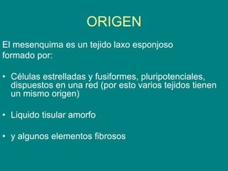 ORIGEN
El mesenquima es un tejido laxo esponjoso
formado por:
• Células estrelladas y fusiformes, pluripotenciales,
dispuestos en una red (por esto varios tejidos tienen
un mismo origen)
• Liquido tisular amorfo
• y algunos elementos fibrosos
 