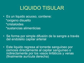 LIQUIDO TISULAR
• Es un liquido acuoso, contiene:
*oxigeno disuelto
*cristaloides
*sustancias alimenticias
• Se forma por simple difusión de la sangre a través
del endotelio capilar arterial
• Este liquido regresa al torrente sanguíneo por
osmosis directamente al capilar sanguíneo o
indirectamente por los vasos linfáticos y venas
(finalmente aurícula derecha)
 
