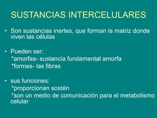SUSTANCIAS INTERCELULARES
• Son sustancias inertes, que forman la matriz donde
viven las células
• Pueden ser:
*amorfas- sustancia fundamental amorfa
*formes- las fibras
• sus funciones:
*proporcionan sostén
*son un medio de comunicación para el metabolismo
celular
 