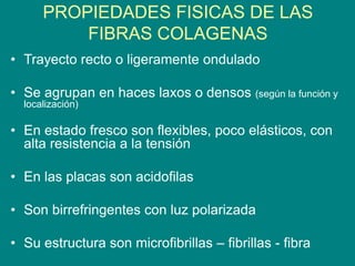 PROPIEDADES FISICAS DE LAS
FIBRAS COLAGENAS
• Trayecto recto o ligeramente ondulado
• Se agrupan en haces laxos o densos (según la función y
localización)
• En estado fresco son flexibles, poco elásticos, con
alta resistencia a la tensión
• En las placas son acidofilas
• Son birrefringentes con luz polarizada
• Su estructura son microfibrillas – fibrillas - fibra
 