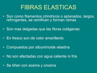 FIBRAS ELASTICAS
• Son como filamentos cilíndricos o aplanados, largos,
refringentes, se ramifican y forman ramas
• Son mas delgadas que las fibras colágenas
• En fresco son de color amarillento
• Compuestos por albuminoide elastina
• No son afectadas con agua caliente ni fría
• Se tiñen con eosina y orceina
 