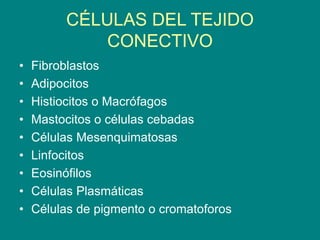 CÉLULAS DEL TEJIDO
CONECTIVO
• Fibroblastos
• Adipocitos
• Histiocitos o Macrófagos
• Mastocitos o células cebadas
• Células Mesenquimatosas
• Linfocitos
• Eosinófilos
• Células Plasmáticas
• Células de pigmento o cromatoforos
 