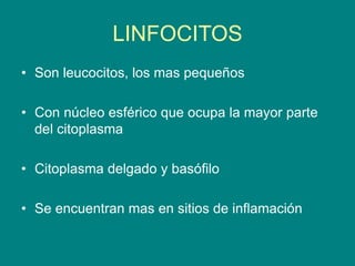 LINFOCITOS
• Son leucocitos, los mas pequeños
• Con núcleo esférico que ocupa la mayor parte
del citoplasma
• Citoplasma delgado y basófilo
• Se encuentran mas en sitios de inflamación
 