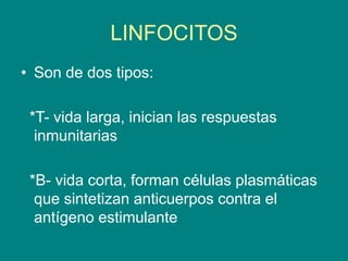 LINFOCITOS
• Son de dos tipos:
*T- vida larga, inician las respuestas
inmunitarias
*B- vida corta, forman células plasmáticas
que sintetizan anticuerpos contra el
antígeno estimulante
 