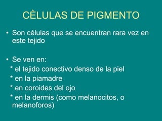 CÈLULAS DE PIGMENTO
• Son células que se encuentran rara vez en
este tejido
• Se ven en:
* el tejido conectivo denso de la piel
* en la piamadre
* en coroides del ojo
* en la dermis (como melanocitos, o
melanoforos)
 