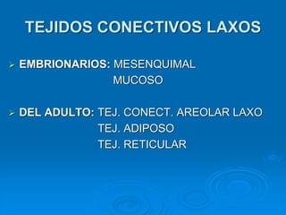 TEJIDOS CONECTIVOS LAXOS
➢ EMBRIONARIOS: MESENQUIMAL
MUCOSO
➢ DEL ADULTO: TEJ. CONECT. AREOLAR LAXO
TEJ. ADIPOSO
TEJ. RETICULAR
 