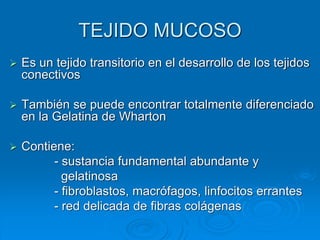 TEJIDO MUCOSO
➢ Es un tejido transitorio en el desarrollo de los tejidos
conectivos
➢ También se puede encontrar totalmente diferenciado
en la Gelatina de Wharton
➢ Contiene:
- sustancia fundamental abundante y
gelatinosa
- fibroblastos, macrófagos, linfocitos errantes
- red delicada de fibras colágenas
 