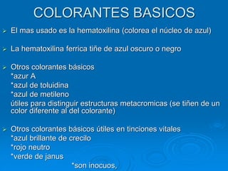 COLORANTES BASICOS
➢ El mas usado es la hematoxilina (colorea el núcleo de azul)
➢ La hematoxilina ferrica tiñe de azul oscuro o negro
➢ Otros colorantes básicos
*azur A
*azul de toluidina
*azul de metileno
útiles para distinguir estructuras metacromicas (se tiñen de un
color diferente al del colorante)
➢ Otros colorantes básicos útiles en tinciones vitales
*azul brillante de crecilo
*rojo neutro
*verde de janus
*son inocuos,
 