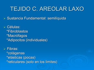 TEJIDO C. AREOLAR LAXO
➢ Sustancia Fundamental: semilíquida
➢ Células:
*Fibroblastos
*Macrófagos
*Adipocitos (individuales)
➢ Fibras:
*colágenas
*elásticas (pocas)
*reticulares (solo en los limites)
 