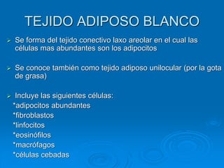 TEJIDO ADIPOSO BLANCO
➢ Se forma del tejido conectivo laxo areolar en el cual las
células mas abundantes son los adipocitos
➢ Se conoce también como tejido adiposo unilocular (por la gota
de grasa)
➢ Incluye las siguientes células:
*adipocitos abundantes
*fibroblastos
*linfocitos
*eosinófilos
*macrófagos
*células cebadas
 