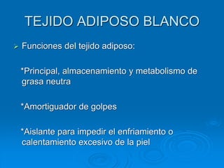 TEJIDO ADIPOSO BLANCO
➢ Funciones del tejido adiposo:
*Principal, almacenamiento y metabolismo de
grasa neutra
*Amortiguador de golpes
*Aislante para impedir el enfriamiento o
calentamiento excesivo de la piel
 