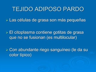 TEJIDO ADIPOSO PARDO
➢ Las células de grasa son más pequeñas
➢ El citoplasma contiene gotitas de grasa
que no se fusionan (es multilocular)
➢ Con abundante riego sanguíneo (le da su
color típico)
 
