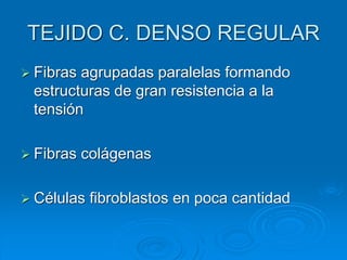 TEJIDO C. DENSO REGULAR
➢ Fibras agrupadas paralelas formando
estructuras de gran resistencia a la
tensión
➢ Fibras colágenas
➢ Células fibroblastos en poca cantidad
 