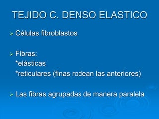 TEJIDO C. DENSO ELASTICO
➢ Células fibroblastos
➢ Fibras:
*elásticas
*reticulares (finas rodean las anteriores)
➢ Las fibras agrupadas de manera paralela
 
