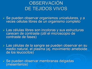 OBSERVACIÓN
DE TEJIDOS VIVOS
➢ Se pueden observar organismos unicelulares, y a
veces células libres de un organismo completo
➢ Las células libres son incoloras y sus estructuras
carecen de contraste (útil el microscopio de
contraste de fases)
➢ Las células de la sangre se pueden observar en su
medio natural, el plasma (ej. movimiento ameboide
de los leucocitos)
➢ Se pueden observar membranas delgadas
(mesenterios)
 