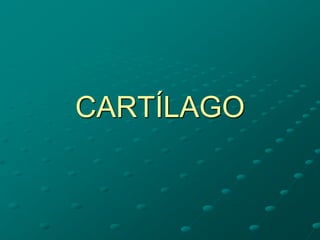CARTÍLAGO
 