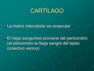 CARTÍLAGO
La matriz intercelular es avascular
El riego sanguíneo proviene del pericondrio
(al pericondrio le llega sangre del tejido
conectivo vecino)
 