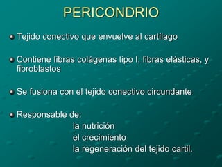 PERICONDRIO
Tejido conectivo que envuelve al cartílago
Contiene fibras colágenas tipo I, fibras elásticas, y
fibroblastos
Se fusiona con el tejido conectivo circundante
Responsable de:
la nutrición
el crecimiento
la regeneración del tejido cartil.
 