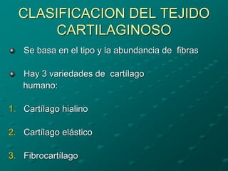 CLASIFICACION DEL TEJIDO
CARTILAGINOSO
Se basa en el tipo y la abundancia de fibras
Hay 3 variedades de cartílago
humano:
1. Cartílago hialino
2. Cartílago elástico
3. Fibrocartílago
 