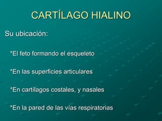 CARTÍLAGO HIALINO
Su ubicación:
*El feto formando el esqueleto
*En las superficies articulares
*En cartílagos costales, y nasales
*En la pared de las vías respiratorias
 