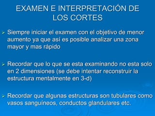 EXAMEN E INTERPRETACIÓN DE
LOS CORTES
➢ Siempre iniciar el examen con el objetivo de menor
aumento ya que así es posible analizar una zona
mayor y mas rápido
➢ Recordar que lo que se esta examinando no esta solo
en 2 dimensiones (se debe intentar reconstruir la
estructura mentalmente en 3-d)
➢ Recordar que algunas estructuras son tubulares como
vasos sanguíneos, conductos glandulares etc.
 