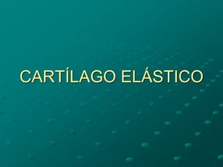 CARTÍLAGO ELÁSTICO
 