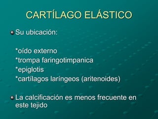 CARTÍLAGO ELÁSTICO
Su ubicación:
*oído externo
*trompa faringotimpanica
*epiglotis
*cartílagos laríngeos (aritenoides)
La calcificación es menos frecuente en
este tejido
 