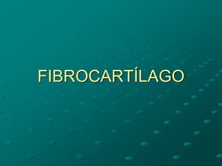 FIBROCARTÍLAGO
 