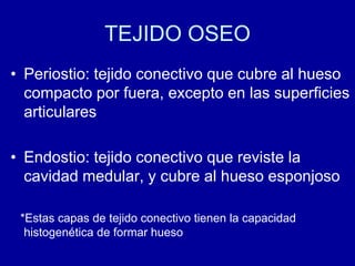 TEJIDO OSEO
• Periostio: tejido conectivo que cubre al hueso
compacto por fuera, excepto en las superficies
articulares
• Endostio: tejido conectivo que reviste la
cavidad medular, y cubre al hueso esponjoso
*Estas capas de tejido conectivo tienen la capacidad
histogenética de formar hueso
 