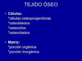 TEJIDO ÓSEO
• Células:
*células osteoprogenitoras
*osteoblastos
*osteocitos
*osteoclastos
• Matriz:
*porción orgánica
*porción inorgánica
 