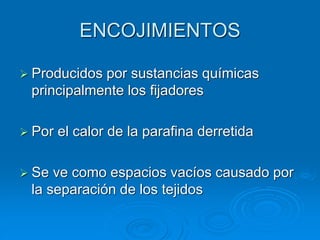 ENCOJIMIENTOS
➢ Producidos por sustancias químicas
principalmente los fijadores
➢ Por el calor de la parafina derretida
➢ Se ve como espacios vacíos causado por
la separación de los tejidos
 
