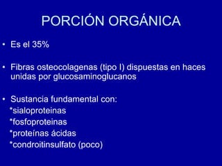 PORCIÓN ORGÁNICA
• Es el 35%
• Fibras osteocolagenas (tipo I) dispuestas en haces
unidas por glucosaminoglucanos
• Sustancia fundamental con:
*sialoproteinas
*fosfoproteinas
*proteínas ácidas
*condroitinsulfato (poco)
 