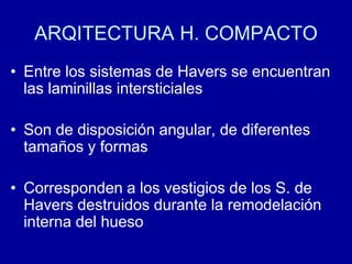 ARQITECTURA H. COMPACTO
• Entre los sistemas de Havers se encuentran
las laminillas intersticiales
• Son de disposición angular, de diferentes
tamaños y formas
• Corresponden a los vestigios de los S. de
Havers destruidos durante la remodelación
interna del hueso
 
