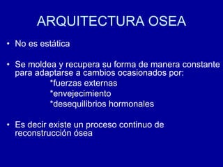 ARQUITECTURA OSEA
• No es estática
• Se moldea y recupera su forma de manera constante
para adaptarse a cambios ocasionados por:
*fuerzas externas
*envejecimiento
*desequilibrios hormonales
• Es decir existe un proceso continuo de
reconstrucción ósea
 