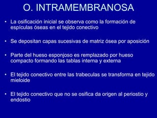 O. INTRAMEMBRANOSA
• La osificación inicial se observa como la formación de
espículas óseas en el tejido conectivo
• Se depositan capas sucesivas de matriz ósea por aposición
• Parte del hueso esponjoso es remplazado por hueso
compacto formando las tablas interna y externa
• El tejido conectivo entre las trabeculas se transforma en tejido
mieloide
• El tejido conectivo que no se osifica da origen al periostio y
endostio
 