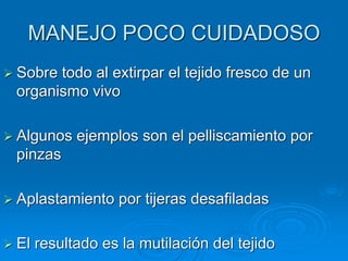 MANEJO POCO CUIDADOSO
➢ Sobre todo al extirpar el tejido fresco de un
organismo vivo
➢ Algunos ejemplos son el pelliscamiento por
pinzas
➢ Aplastamiento por tijeras desafiladas
➢ El resultado es la mutilación del tejido
 